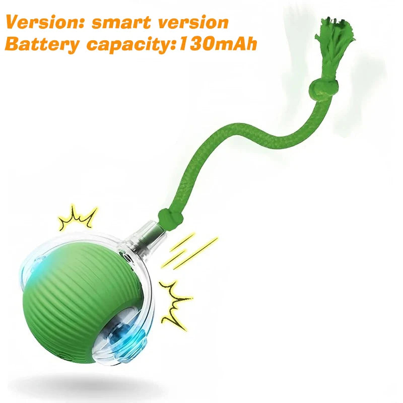 Automatic Dog Ball, Rechargeable Interactive Toy for Dogs