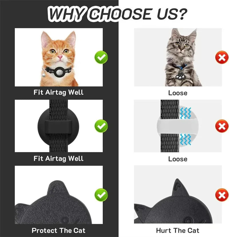 at Collar with AirTag Holder