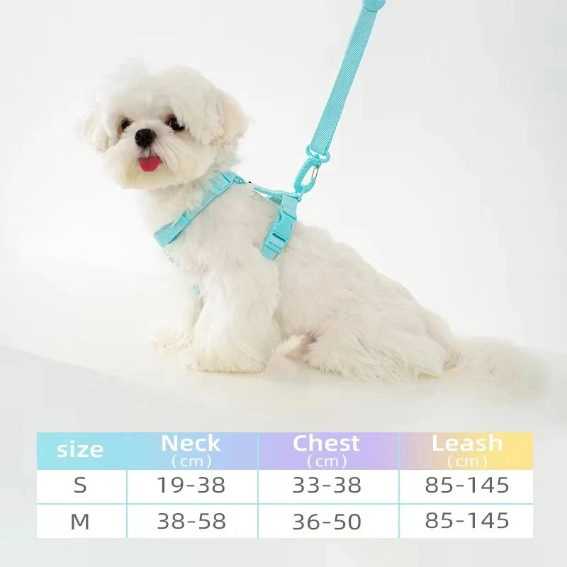 Dog Harness and Leash Set