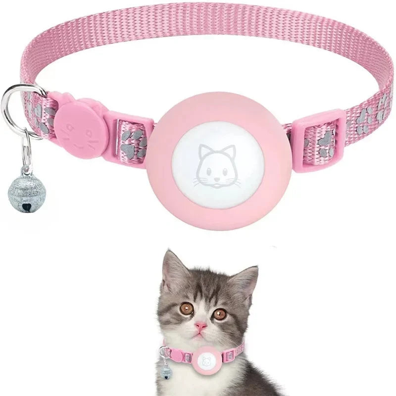 at Collar with AirTag Holder