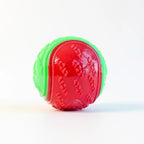 Dog Chew Ball Silicone Squeaky Teeth Cleaning Toy