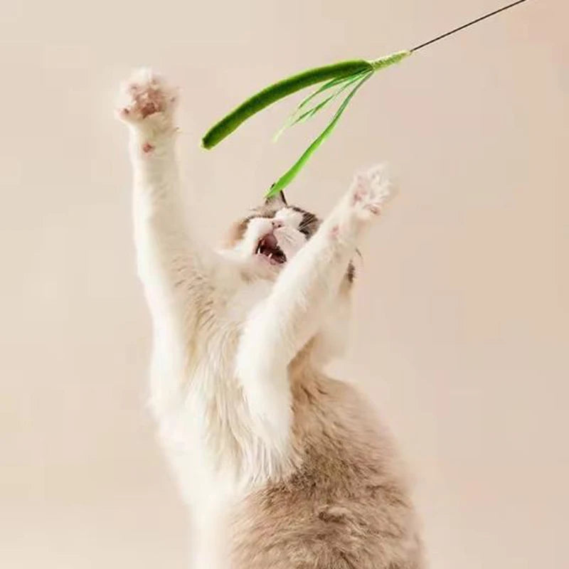 Feather Cat Wand – Flexible Interactive Teaser Toy for Cats