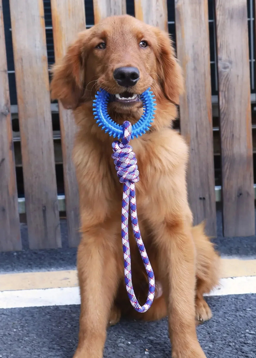 Nylon Rope Dog Toys – Woven Chew Toy for Dogs
