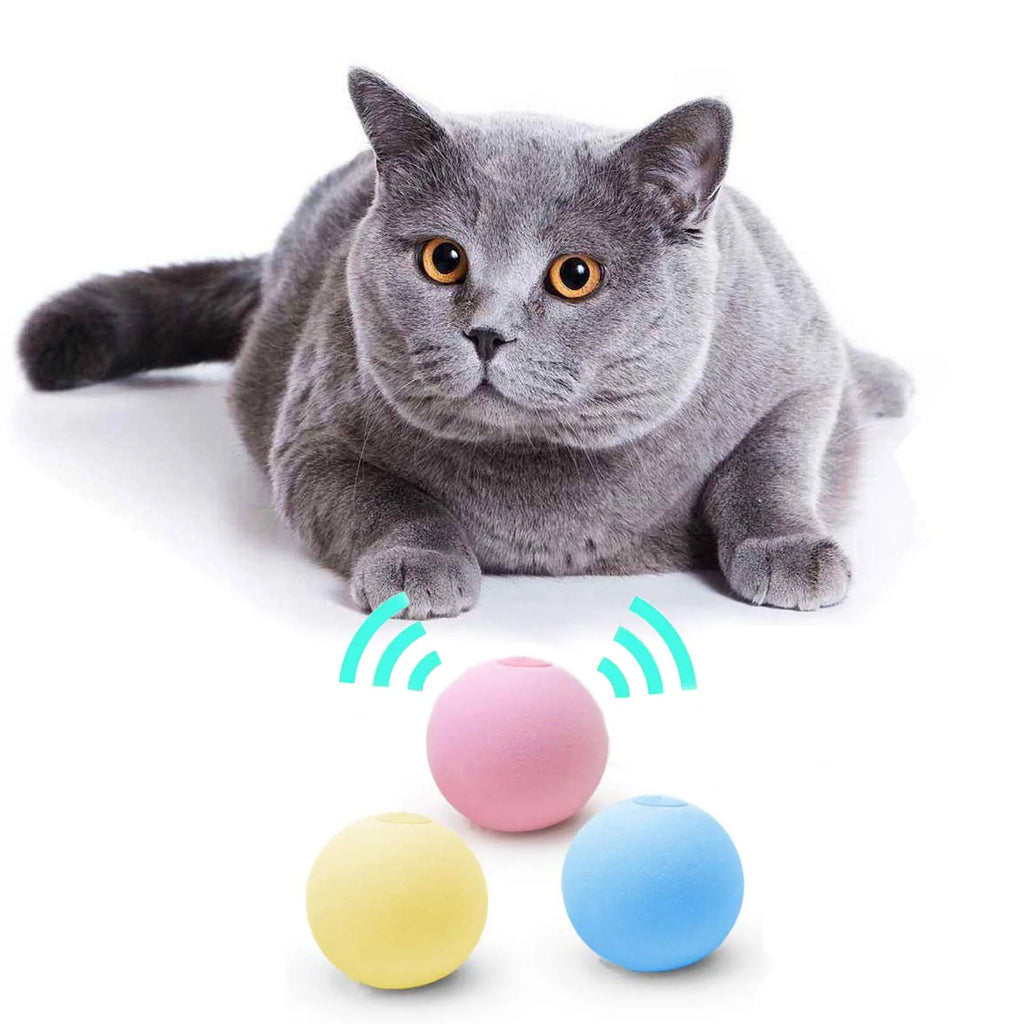 Interactive Cat Ball Toy with Touch Sounds and Catnip Compartment