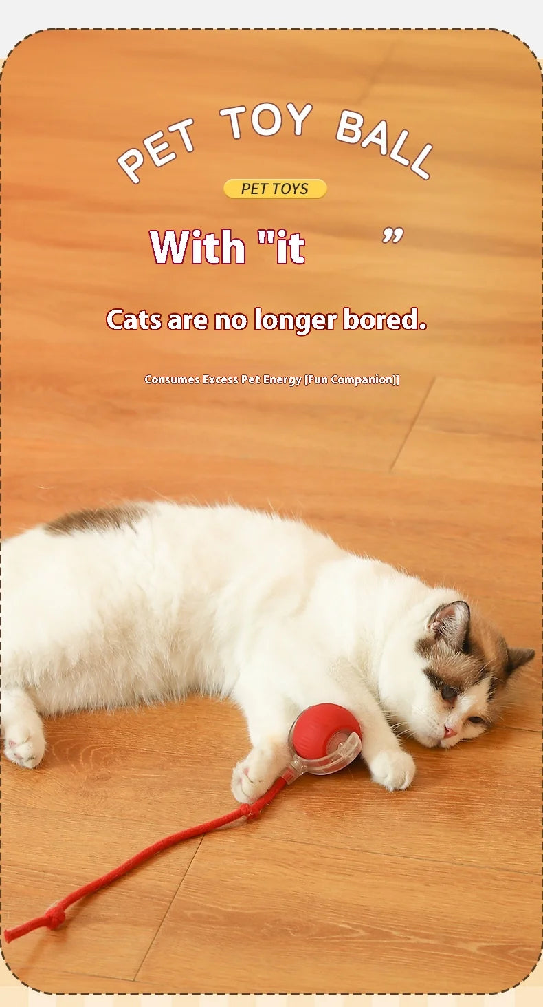 Automatic Cat Ball Toy – Rechargeable Interactive Rolling Ball
