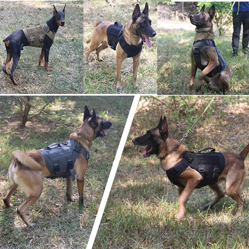 Tactical Dog Harness – 1000D Nylon Vest With Leash Set