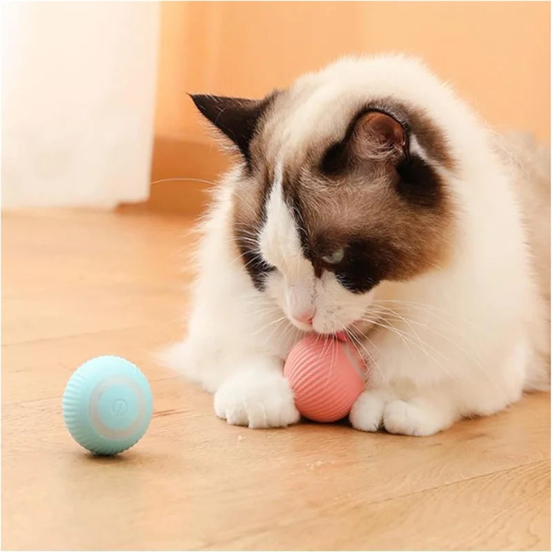 Automatic Interactive Cat Toy Ball – USB Rechargeable Rolling Toy