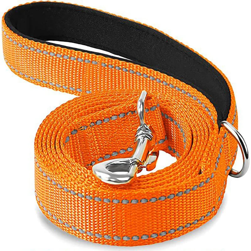 Reflective Dog Leash – Nylon Night Walking & Training Lead