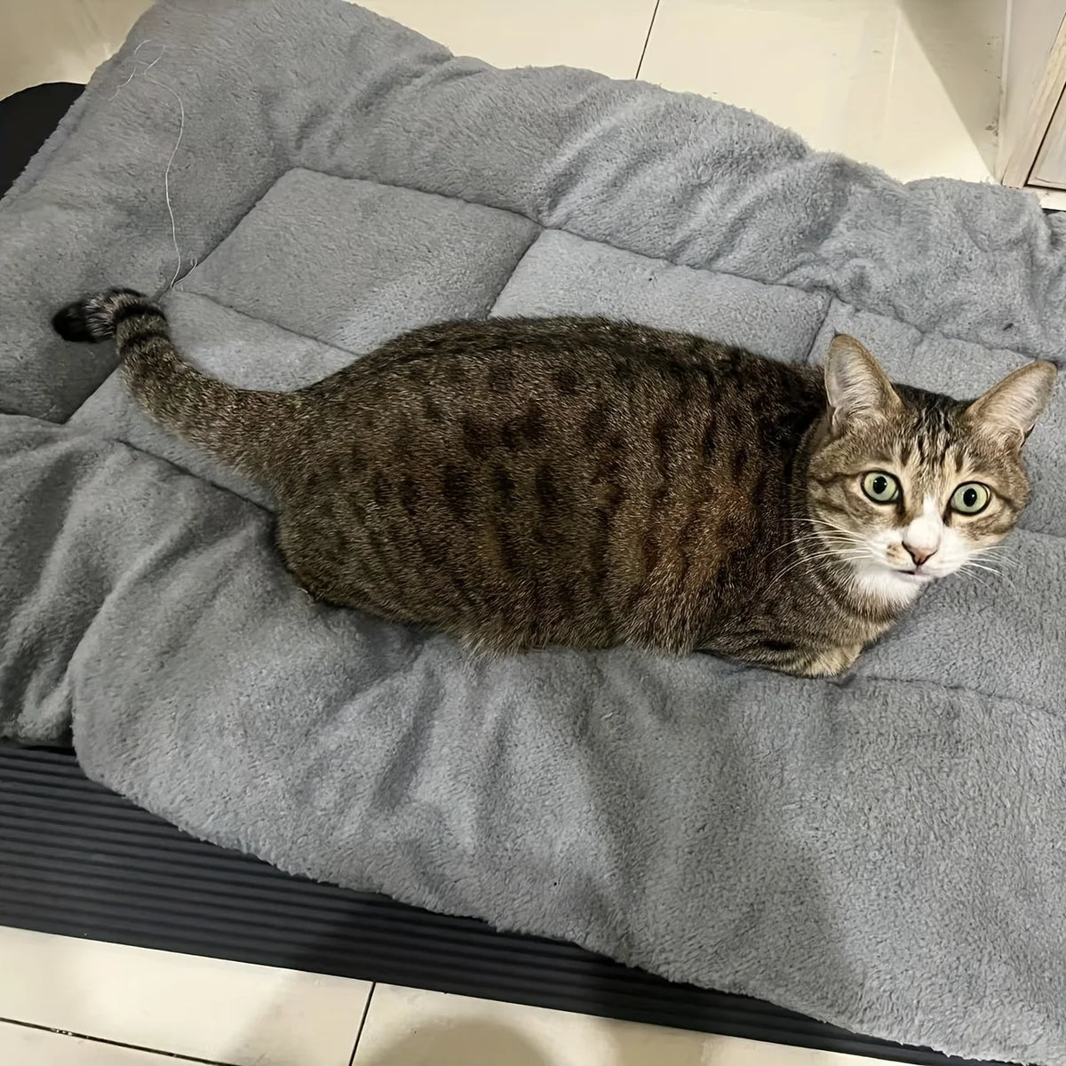 Plush Dog Bed – Oversized Soft Sofa Crate Pad for Cats & Dogs