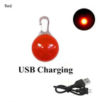 Rechargeable Dog Collar Light – LED Pet Safety Pendant