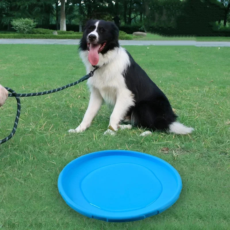 Flying Disc Dog Toy – Silicone Interactive Fetch Toy for Puppies