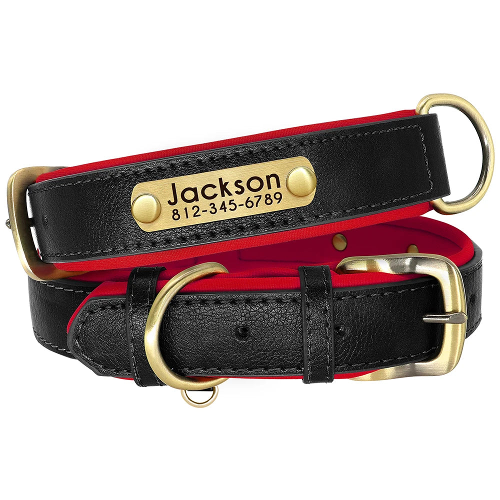 Personalized Dog Collar, Adjustable Padded PU Leather Collar