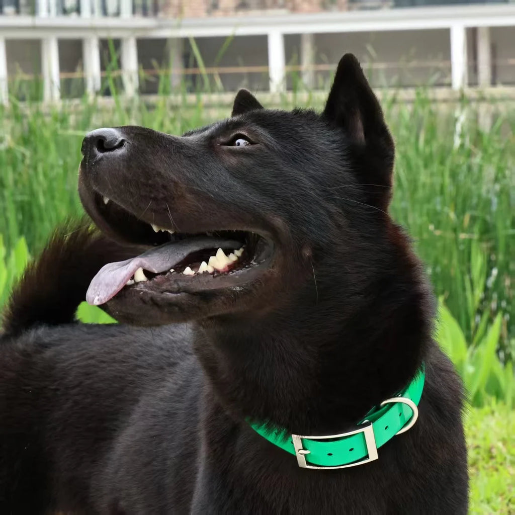 Heavy Duty Dog Collar, Waterproof Adjustable TPU Collar