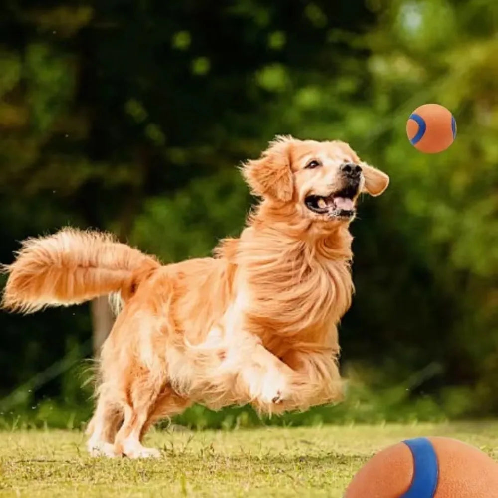 Rubber Dog Ball – Fetch, Chew & Jumping Toy