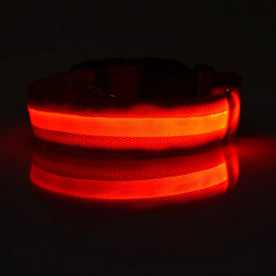 LED Dog Leash Nylon Light Up Glow Night Safety Collar