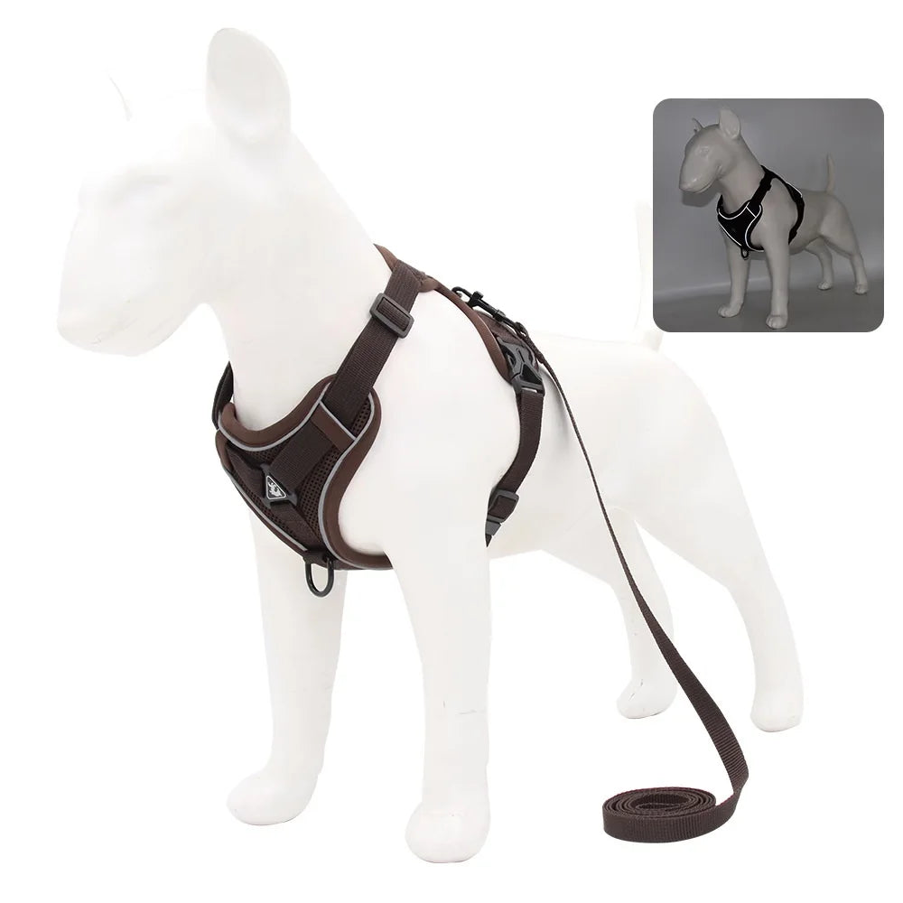 Small Dog Harness and Leash Set – Adjustable Vest