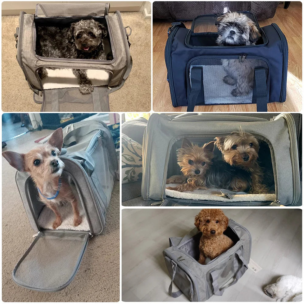 Small Dog Carrier Backpack – Soft-Sided Cat & Pet Travel Bag