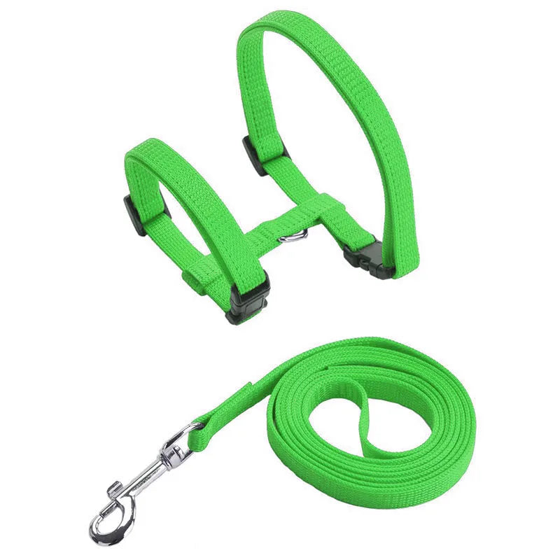 Adjustable Cat Collar – Breakaway Nylon Collar for Kittens & Cats