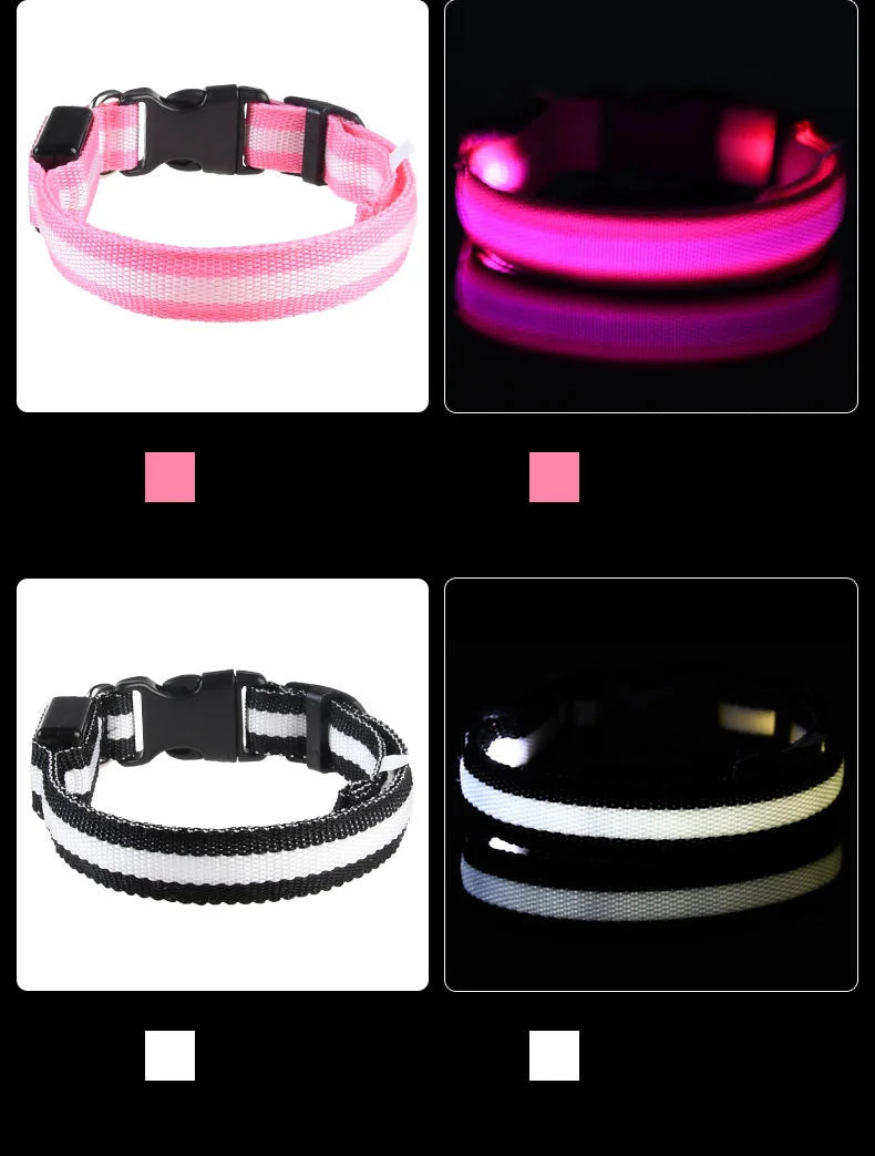 LED Dog Leash Nylon Light Up Glow Night Safety Collar