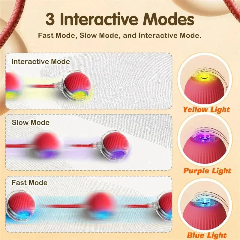 Automatic Dog Ball, Rechargeable Interactive Toy for Dogs