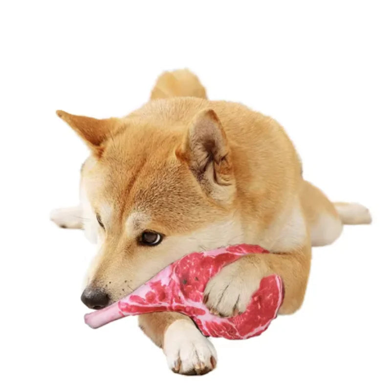 Squeaky Dog Toy Chew Bone for Puppies & Training