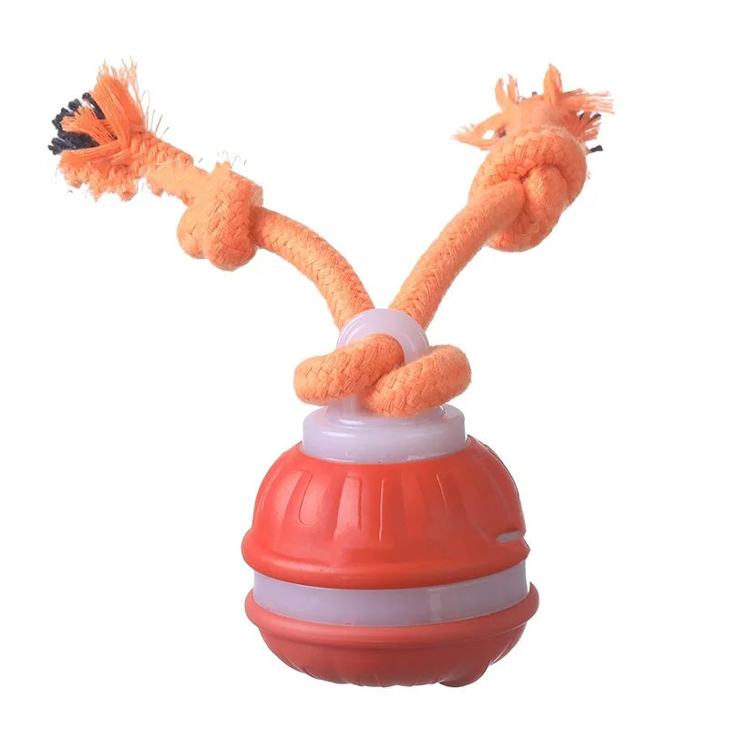 Interactive Dog Ball – Motion Activated Rolling Toy for Dogs