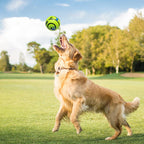 Interactive Dog Ball – Rolling Giggle Sound Toy