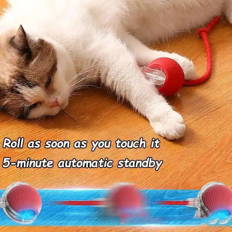 Automatic Dog Ball Toy – Rechargeable Interactive Rolling Ball