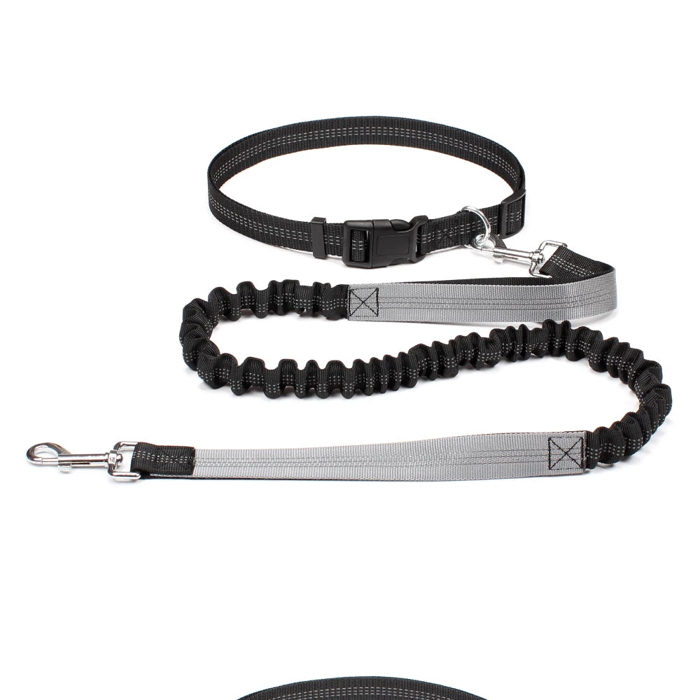 Hands Free Dog Leash