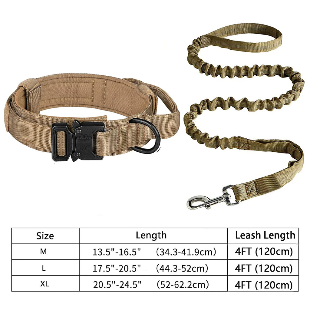 Dog Collar and Leash Set