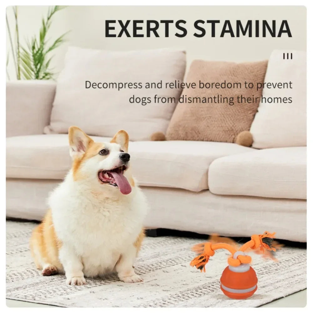 Interactive Dog Ball – Motion Activated Rolling Toy for Dogs