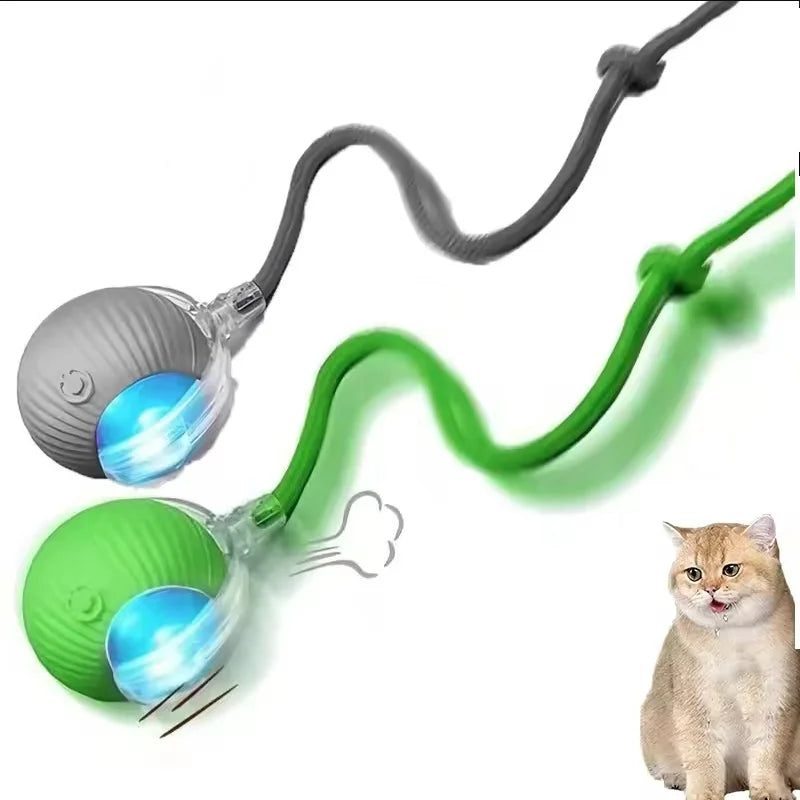 Interactive Cat Ball Toy – Rechargeable Automatic Rolling Toy