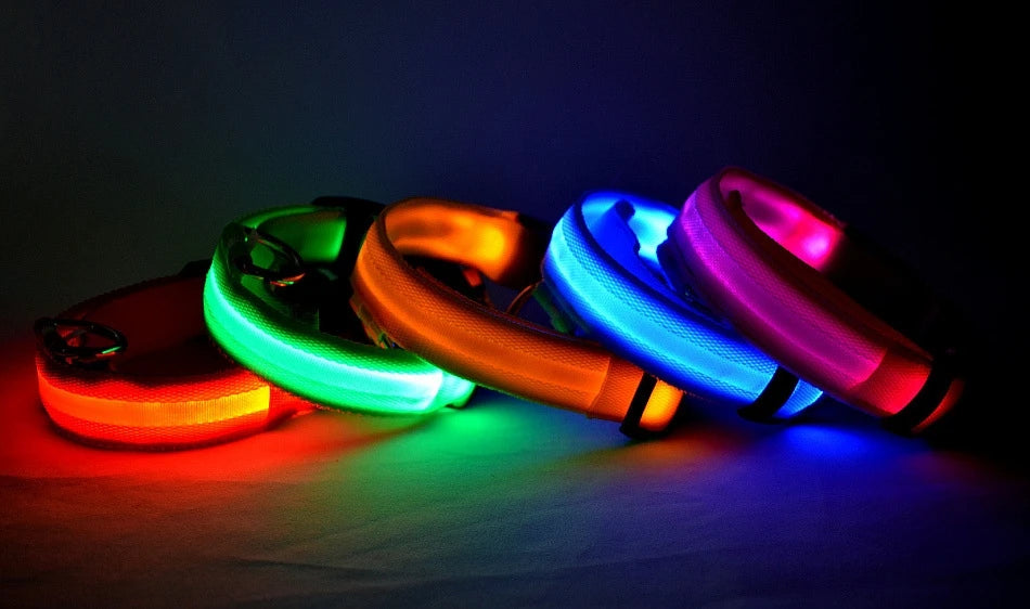 LED Dog Leash Nylon Light Up Glow Night Safety Collar