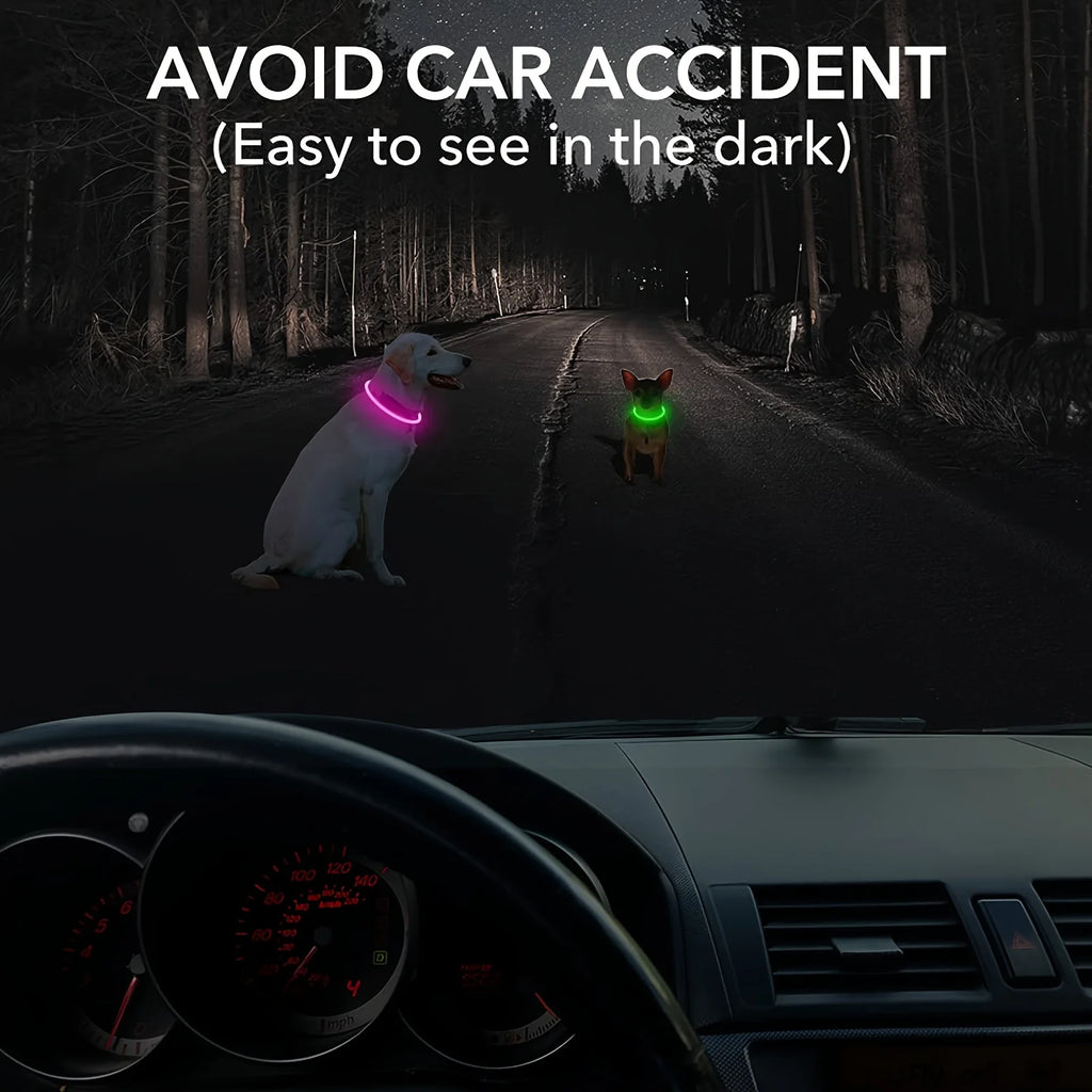 LED Dog Collar – USB Rechargeable Light-Up Reflective Collar
