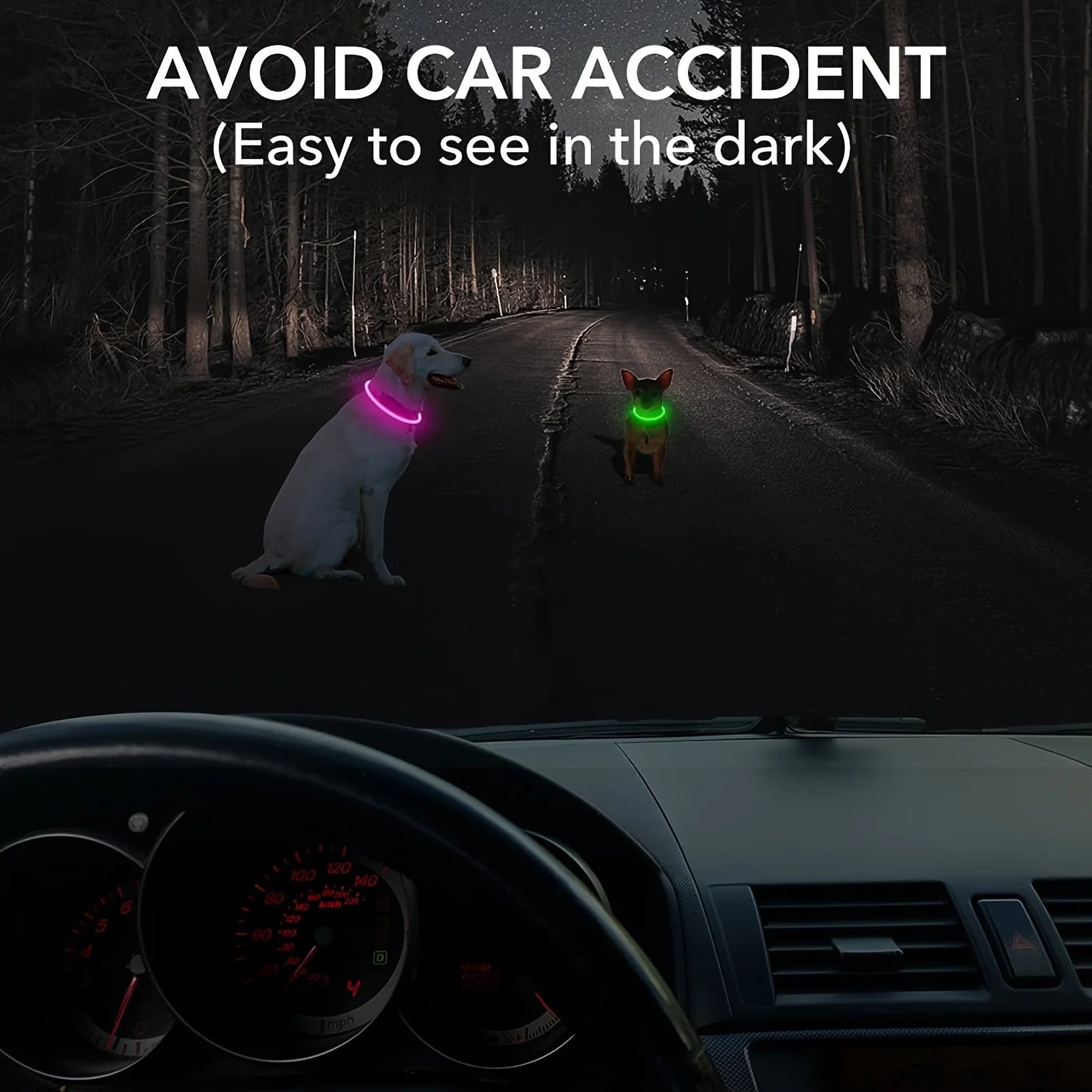 LED Dog Collar – USB Rechargeable Light-Up Reflective Collar