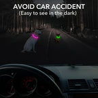 LED Dog Collar, Rechargeable Light Up Reflective Nylon Collar