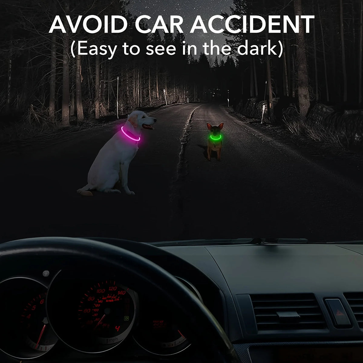 LED Dog Collar, Rechargeable Light Up Reflective Nylon Collar