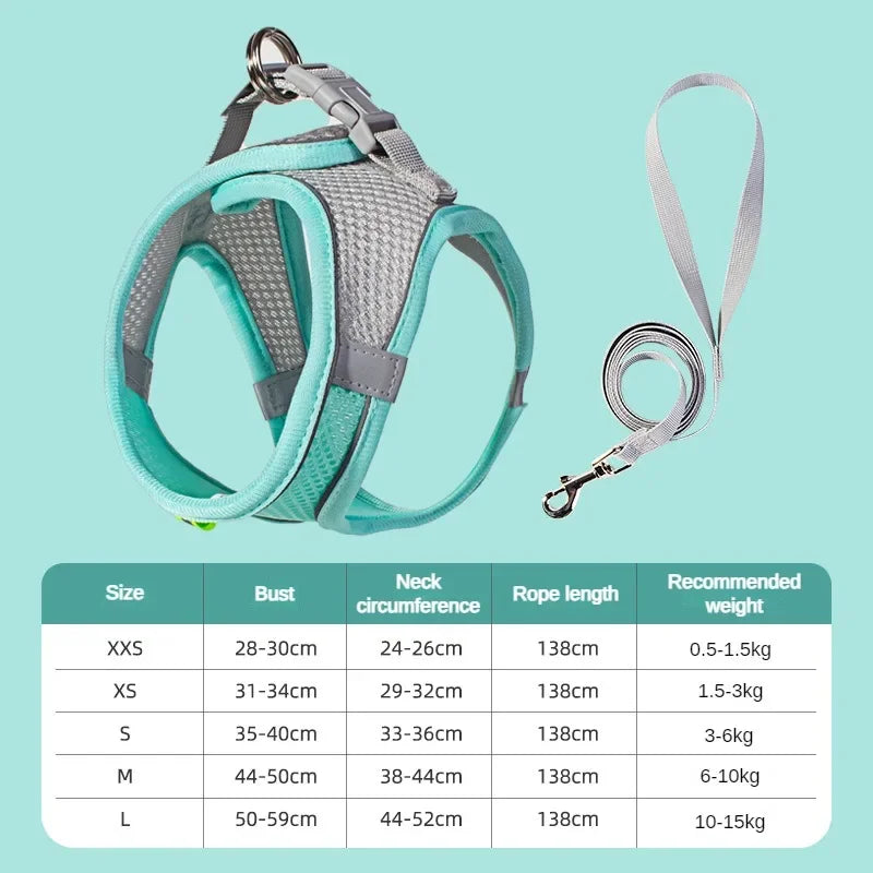 A comfortable, adjustable harness with reflective detailing for everyday pet walks.