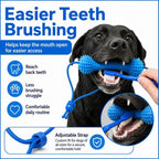 Dog Dental Chew Toy for Teeth Cleaning and Daily Chewing