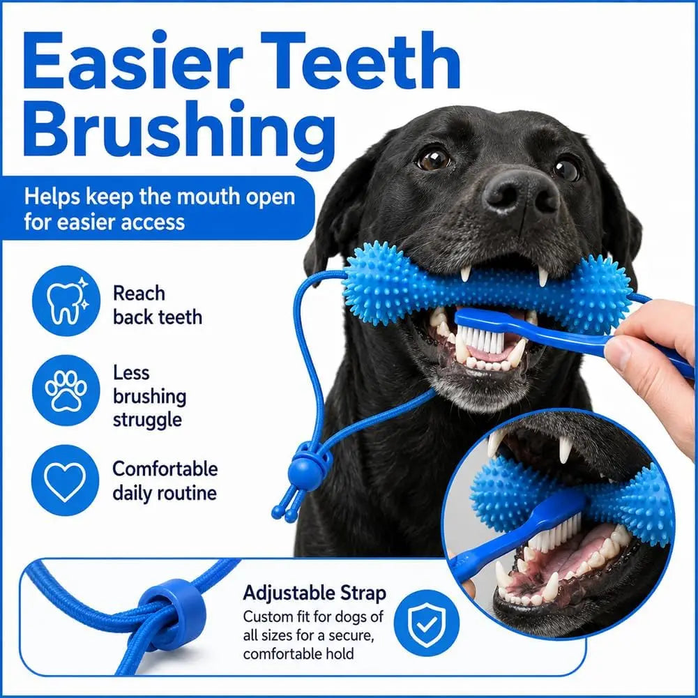 Dog Dental Chew Toy for Teeth Cleaning and Daily Chewing
