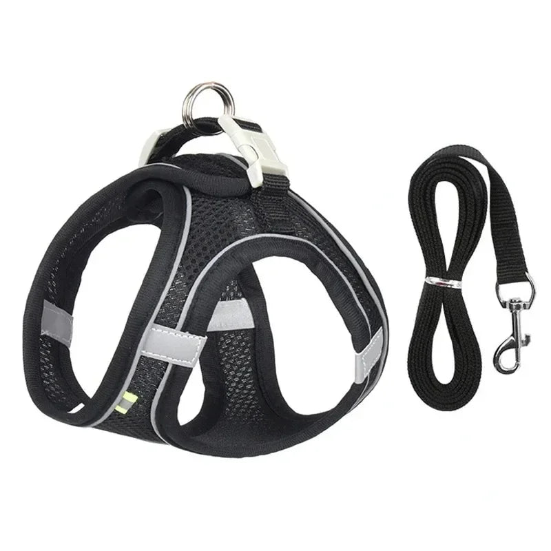 A comfortable, adjustable harness with reflective detailing for everyday pet walks.