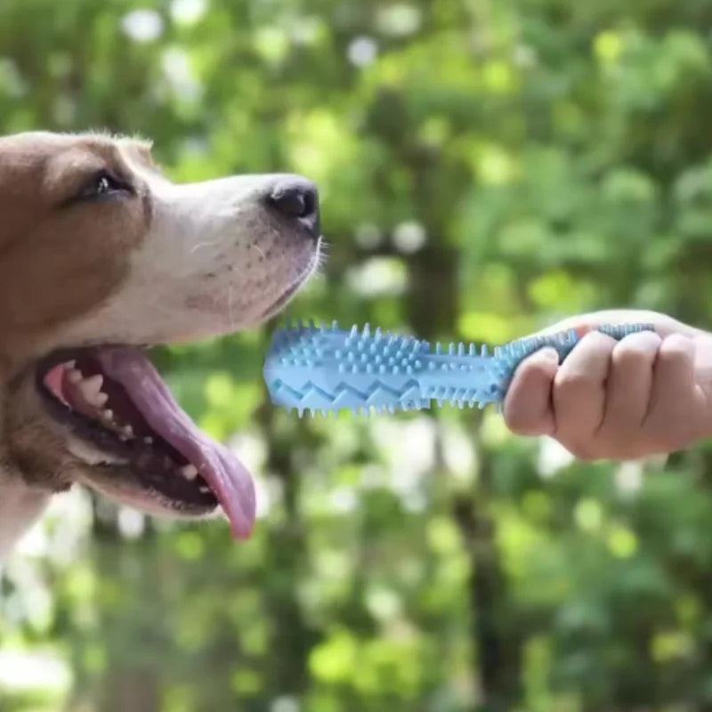 Dog Teething Toy, TPR Chew Stick & Treat Dispensing Toy