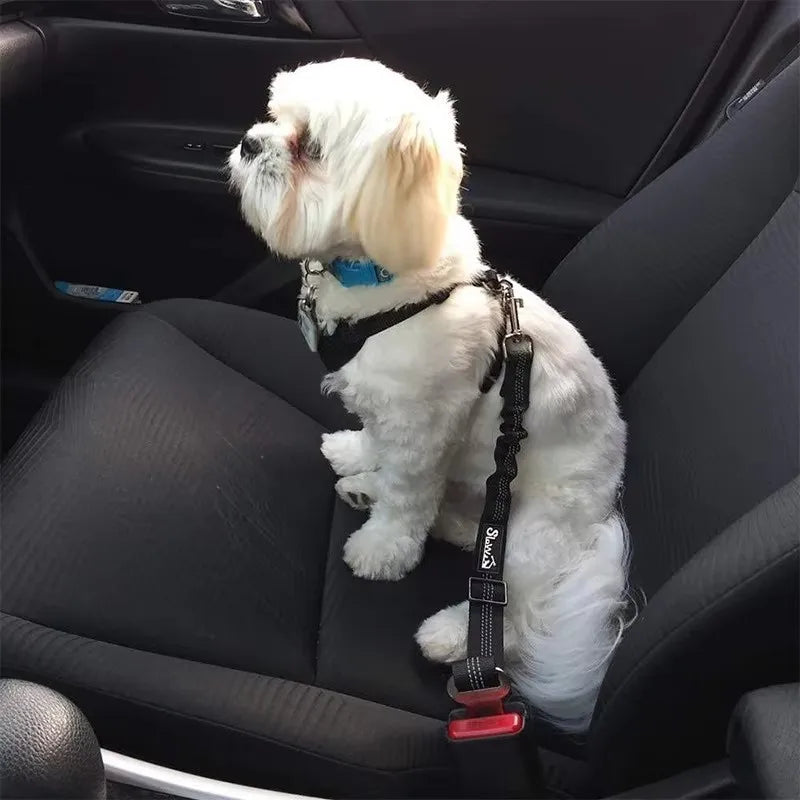 Dog Car Seat Belt