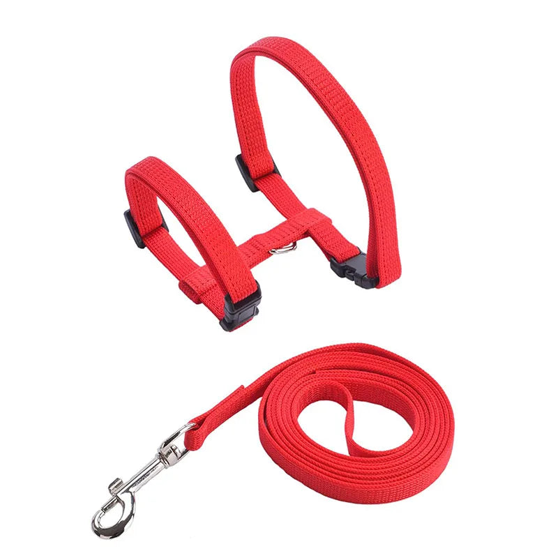 Adjustable Cat Collar – Breakaway Nylon Collar for Kittens & Cats