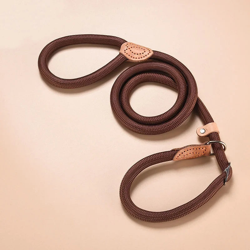 Adjustable Dog Leash – Nylon Slip Lead for Small to Medium Dogs