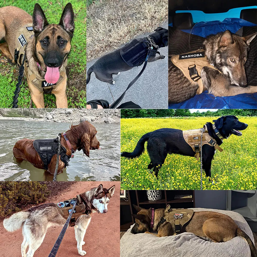 Tactical Dog Harness – Large Nylon Training Vest with Quick Release
