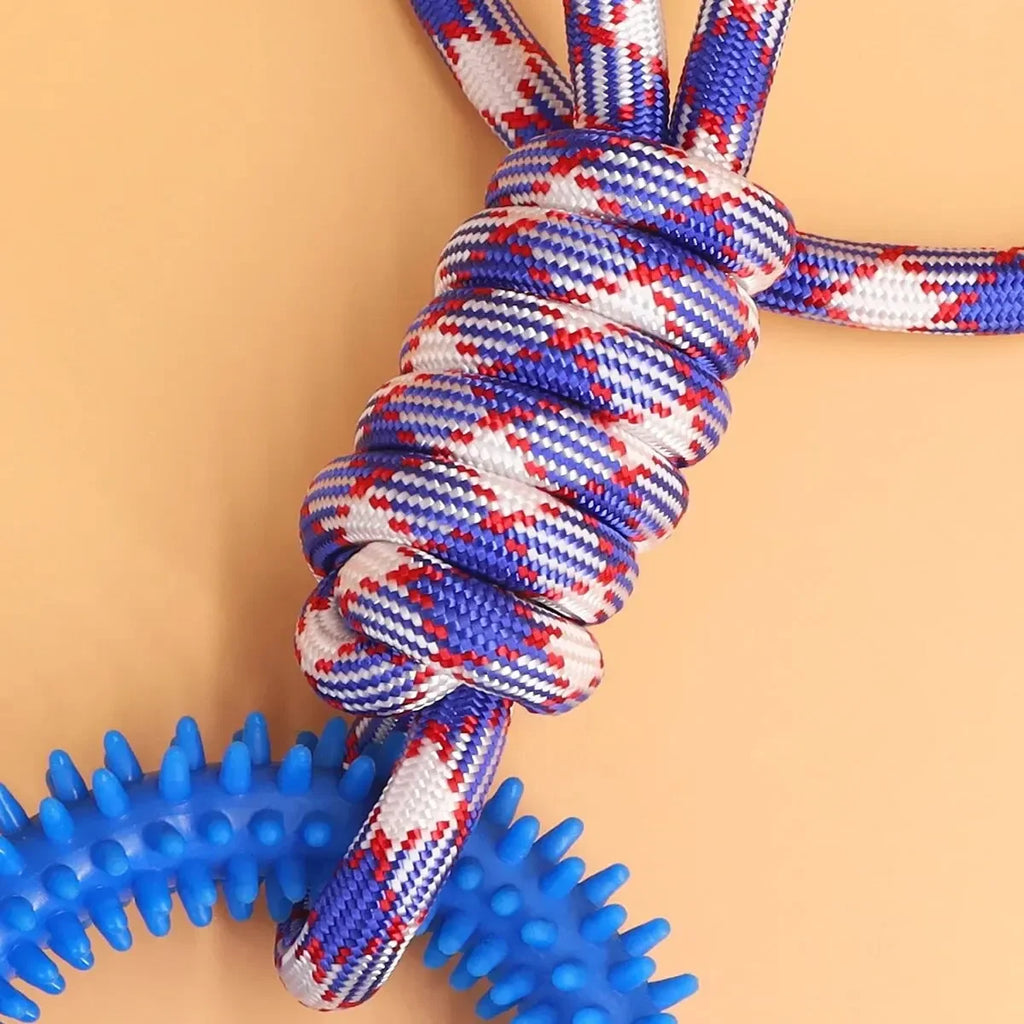 Dog Chew Toys – Durable Rubber Dental Toy for Dogs