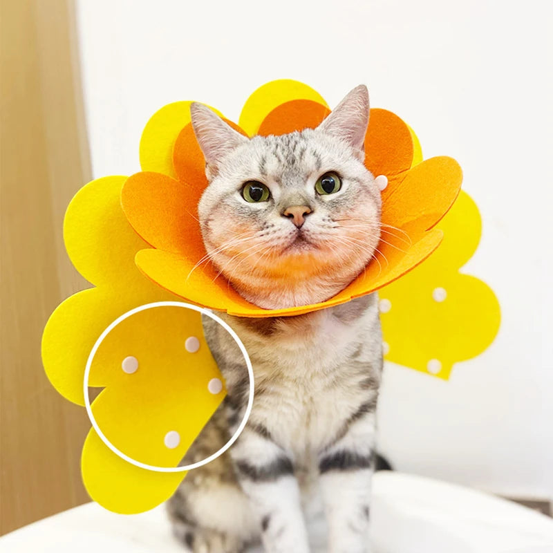 Pet Recovery Cone – Protective Collar for Dogs & Cats