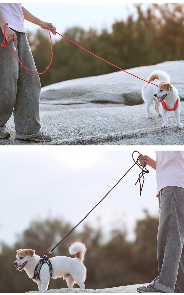 Dog Harness and Leash Set – Adjustable Reflective Puppy Harness