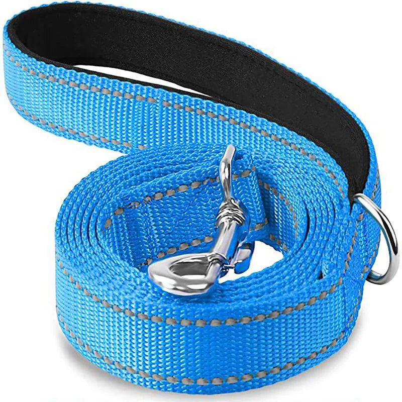 Reflective Dog Leash – Nylon Night Walking & Training Lead